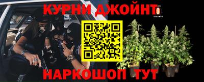 гидропоника Бугуруслан
