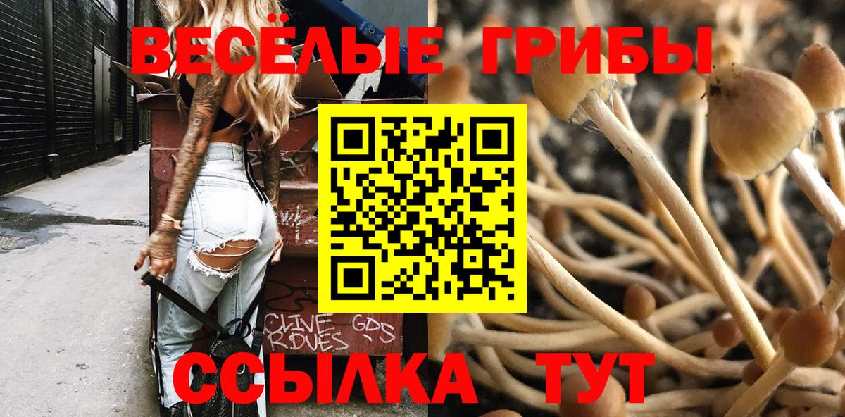 купить   Псилоцибиновые грибы мухоморы  Вход с VPN  Шелехов 